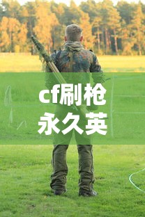 cf刷枪永久英雄武器软件端游  第1张