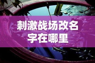 刺激战场改名字在哪里  第1张