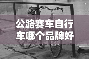 公路赛车自行车哪个品牌好  第1张