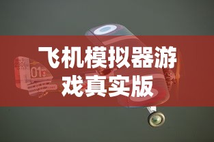 飞机模拟器游戏真实版  第1张