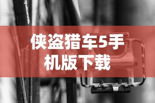 侠盗猎车5手机版下载  第1张