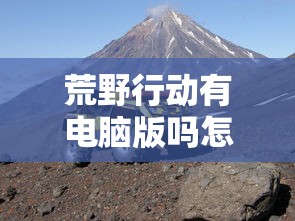 荒野行动有电脑版吗怎么下载  第1张