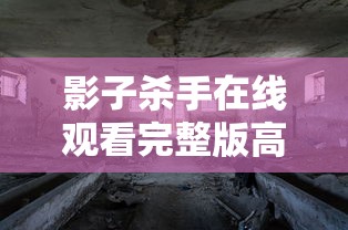 影子杀手在线观看完整版高清  第1张