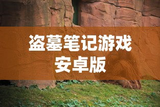 盗墓笔记游戏安卓版  第1张