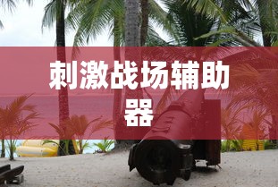 刺激战场辅助器  第1张