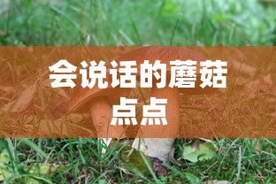 会说话的蘑菇点点  第1张