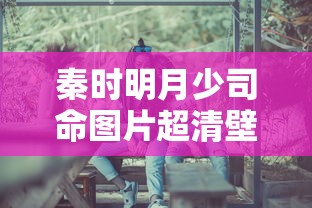 秦时明月少司命图片超清壁纸  第1张