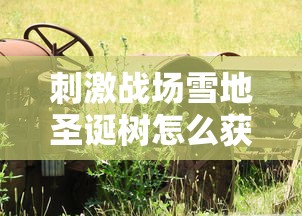 刺激战场雪地圣诞树怎么获得  第1张