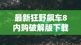 最新狂野飙车8内购破解版下载  第1张