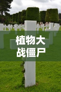 植物大战僵尸长城版下载手机版  第1张