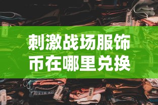 刺激战场服饰币在哪里兑换衣服  第1张