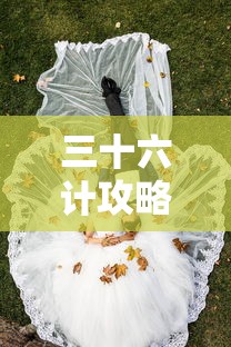 三十六计攻略武将组合  第1张