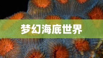 梦幻海底世界  第1张