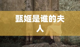 甄姬是谁的夫人  第1张