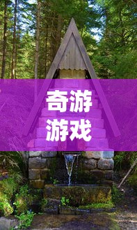 奇游游戏官网入口  第1张