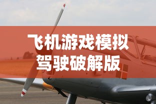 飞机游戏模拟驾驶破解版  第1张