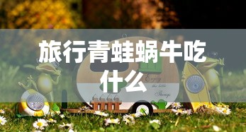 旅行青蛙蜗牛吃什么  第1张