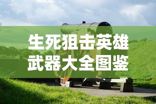 生死狙击英雄武器大全图鉴  第1张