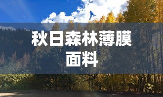 秋日森林薄膜面料  第1张