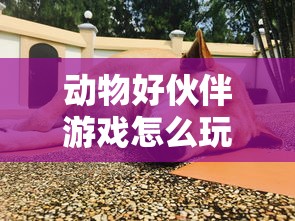 动物好伙伴游戏怎么玩  第1张