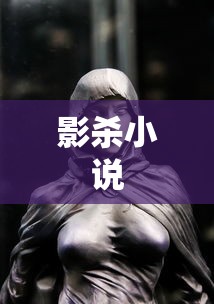影杀小说  第1张