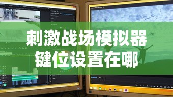 刺激战场模拟器键位设置在哪  第1张