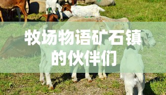 牧场物语矿石镇的伙伴们  第1张