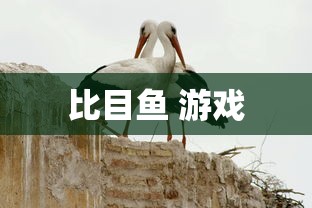 比目鱼 游戏  第1张