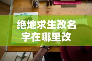 绝地求生改名字在哪里改  第1张