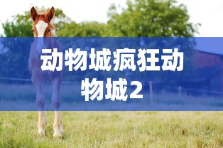 动物城疯狂动物城2  第1张