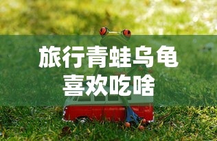 旅行青蛙乌龟喜欢吃啥  第1张