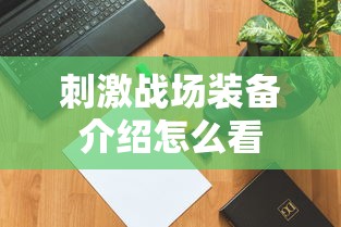刺激战场装备介绍怎么看  第1张