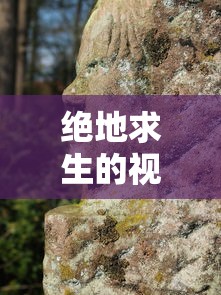 绝地求生的视频怎么传出来  第1张
