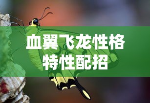 血翼飞龙性格特性配招  第1张