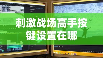 刺激战场高手按键设置在哪  第1张