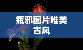 瓶邪图片唯美古风  第1张