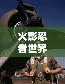 火影忍者世界大战是多少集  第1张