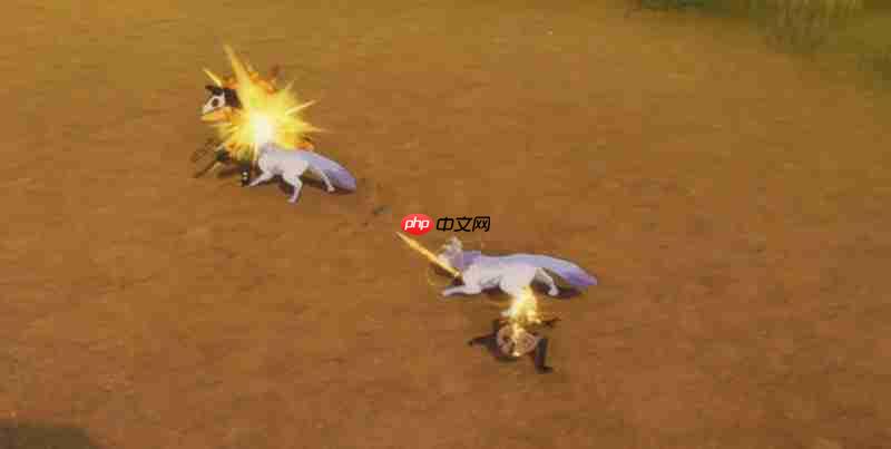 星痕共鸣射手有什么技能 射手职业特点详细介绍  第2张