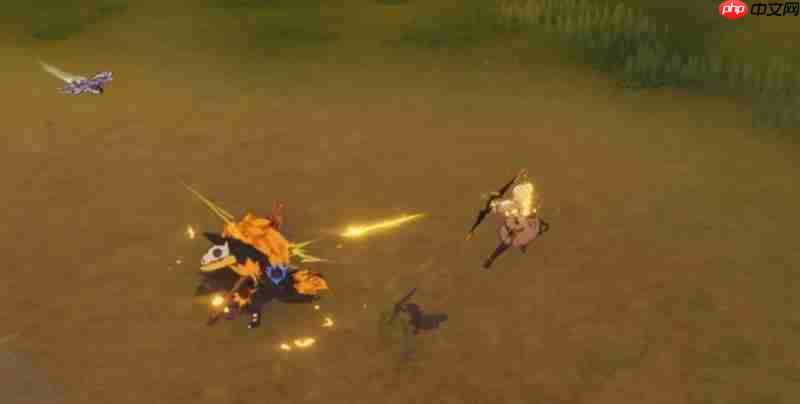 星痕共鸣射手有什么技能 射手职业特点详细介绍  第3张