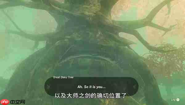王国之泪大师剑怎么拿  第16张