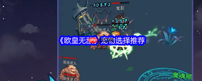 音贝才是王道  欧皇无敌宠物选择终极避坑指南 第1张