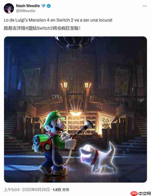 《路易吉洋馆4》Switch2版传闻再起！爆料人称表现惊艳  第2张