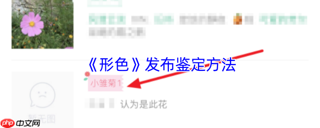 形色 APP 植物鉴定全攻略：3 分钟成为野生植物学家  第1张