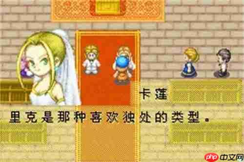 牧场物语矿石镇的伙伴们金手指代码有哪些-金手指大全  第1张