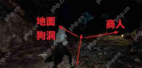 光与影 33 号远征队繁叶结获取攻略：阴森洞穴寻宝指南  第3张