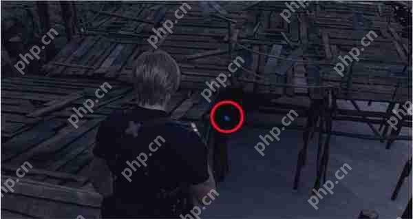 生化危机4重制版5个蓝球位置在哪-5个蓝球位置介绍  第9张