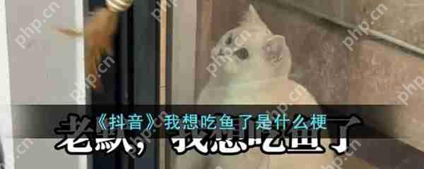 我想吃鱼了梗百科  第1张