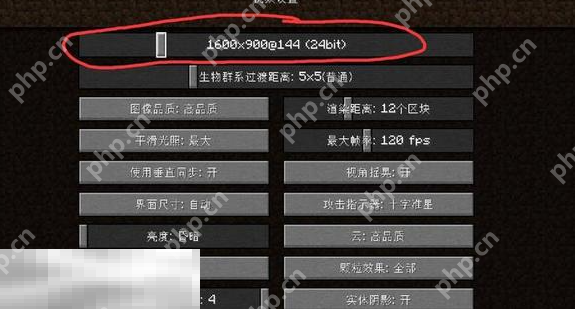 我的世界怎么调整分辨率 画面大小调整方法分享  第4张
