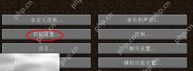 我的世界怎么调整分辨率 画面大小调整方法分享  第3张