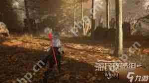 光与影33号远征队来生再会怎么获取-光与影33号远征队来生再会获取途径  第1张
